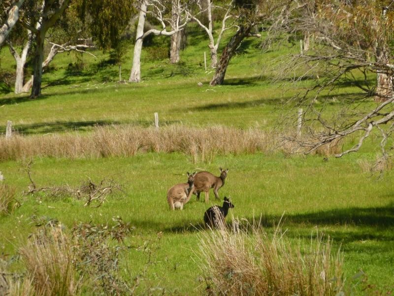 Section 1092 Tonto Road, Hay Flat Via Normanville, Normanville SA 5204