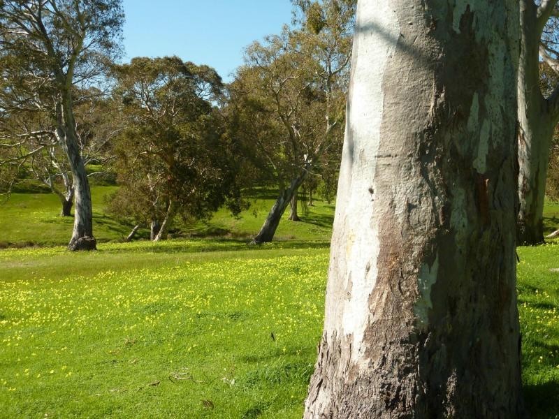 Section 1092 Tonto Road, Hay Flat Via Normanville, Normanville SA 5204