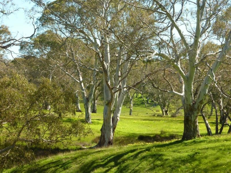 Section 1092 Tonto Road, Hay Flat Via Normanville, Normanville SA 5204