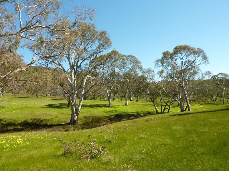 Section 1092 Tonto Road, Hay Flat Via Normanville, Normanville SA 5204