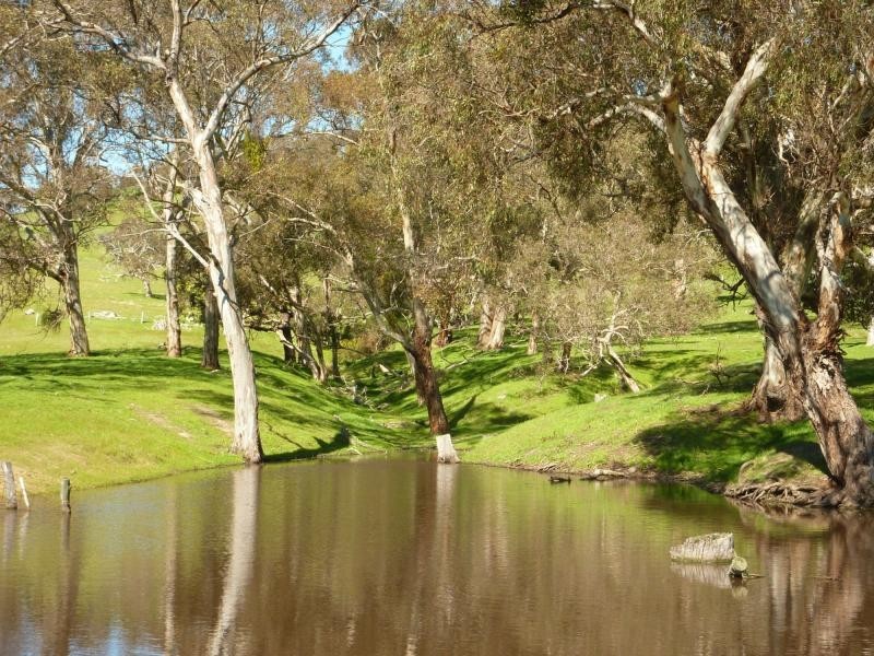 Section 1092 Tonto Road, Hay Flat Via Normanville, Normanville SA 5204