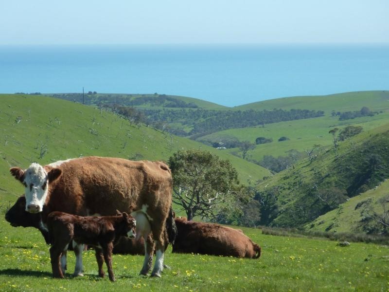 Lot 11,13,14,15 Main South Road, Second Valley / Parawa, Second Valley SA 5204