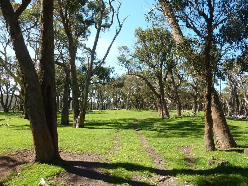 Lot 11,13,14,15 Main South Road, Second Valley / Parawa, Second Valley SA 5204