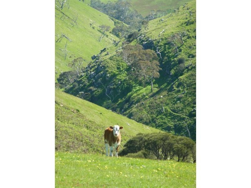 Lot 11,13,14,15 Main South Road, Second Valley / Parawa, Second Valley SA 5204