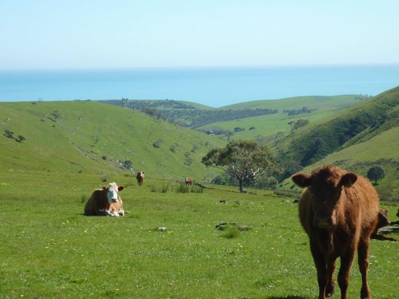 Lot 11,13,14,15 Main South Road, Second Valley / Parawa, Second Valley SA 5204