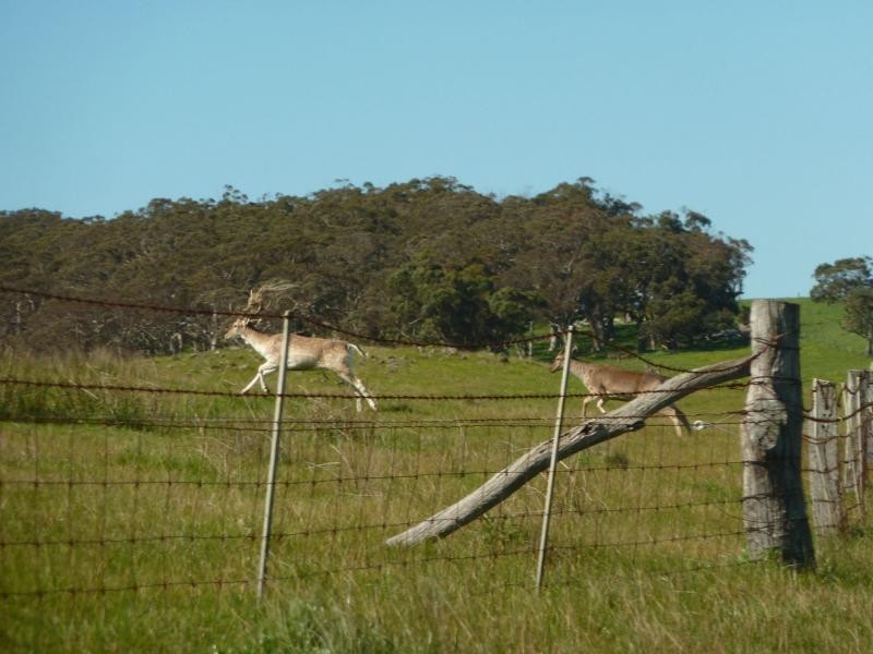 Lot 11,13,14,15 Main South Road, Second Valley / Parawa, Second Valley SA 5204