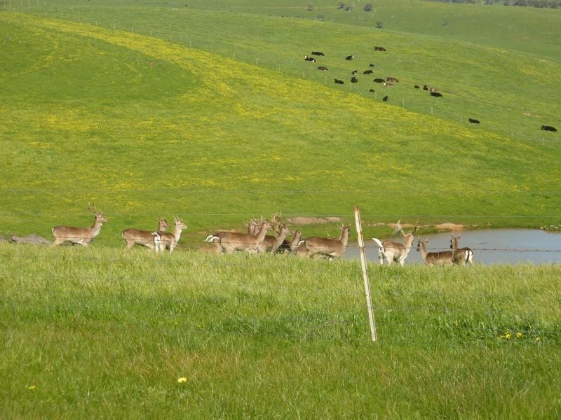 Lot 11,13,14,15 Main South Road, Second Valley / Parawa, Second Valley SA 5204