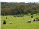 Lot 13 Range Road West , Delamere / Parawa, Delamere SA 5204