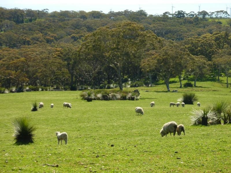 Lot 13 Range Road West , Delamere / Parawa, Delamere SA 5204