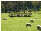 Lot 13 Range Road West , Delamere / Parawa, Delamere SA 5204