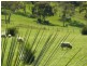 Lot 13 Range Road West , Delamere / Parawa, Delamere SA 5204