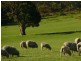 Lot 13 Range Road West , Delamere / Parawa, Delamere SA 5204