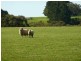 Lot 13 Range Road West , Delamere / Parawa, Delamere SA 5204