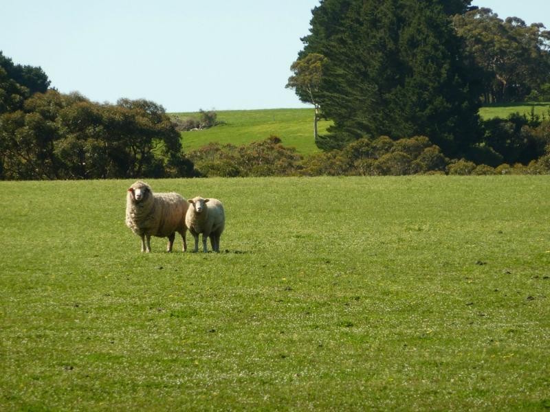 Lot 13 Range Road West , Delamere / Parawa, Delamere SA 5204