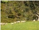 Lot 20 Main South Road, Delamere / Parawa, Delamere SA 5204