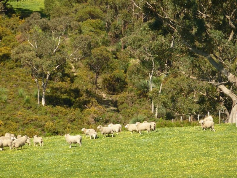 Lot 20 Main South Road, Delamere / Parawa, Delamere SA 5204