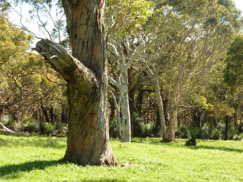 Lot 20 Main South Road, Delamere / Parawa, Delamere SA 5204