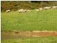 Lot 20 Main South Road, Delamere / Parawa, Delamere SA 5204