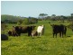 Lot 20 Main South Road, Delamere / Parawa, Delamere SA 5204