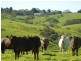 Lot 20 Main South Road, Delamere / Parawa, Delamere SA 5204