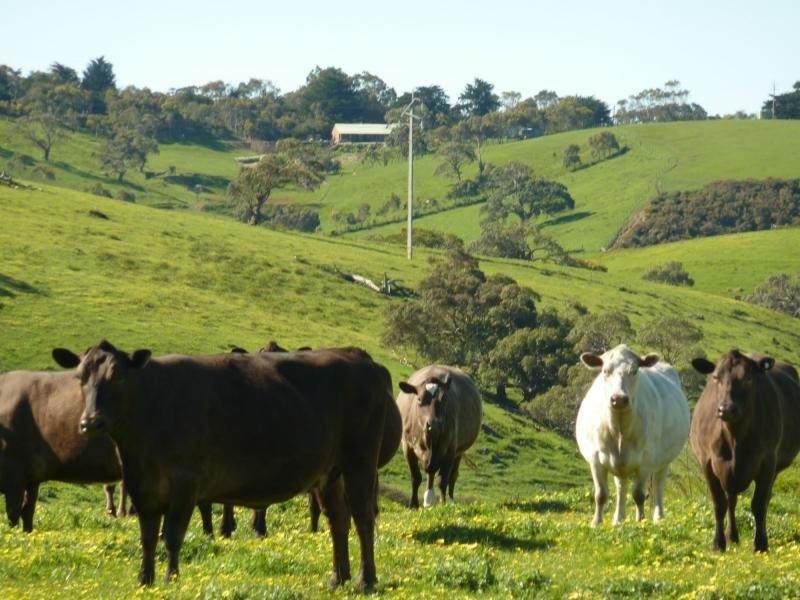 Lot 20 Main South Road, Delamere / Parawa, Delamere SA 5204