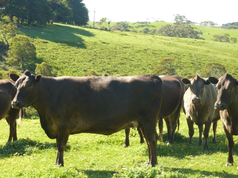 Lot 20 Main South Road, Delamere / Parawa, Delamere SA 5204