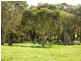 Lot 20 Main South Road, Delamere / Parawa, Delamere SA 5204