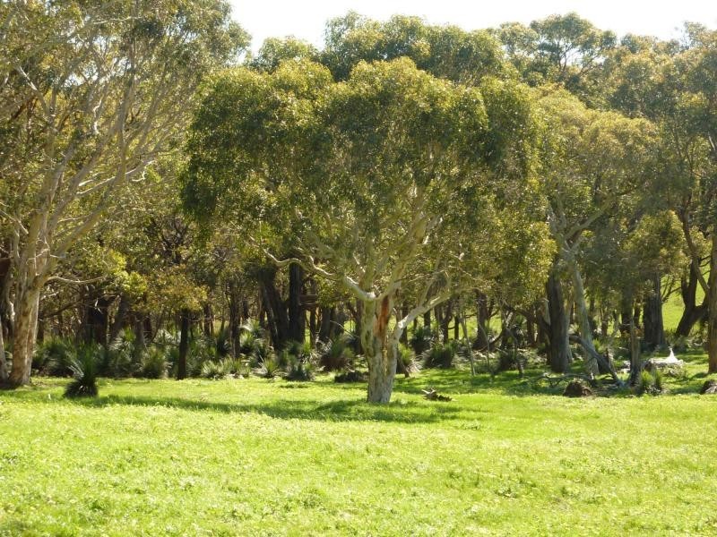 Lot 20 Main South Road, Delamere / Parawa, Delamere SA 5204