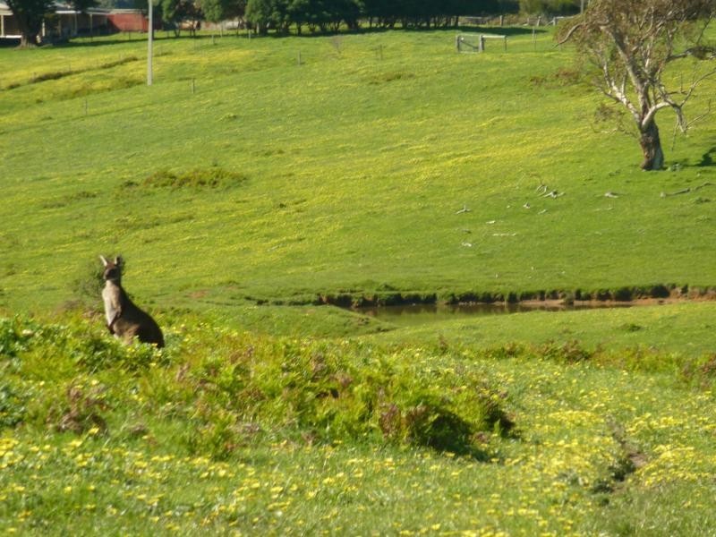 Lot 20 Main South Road, Delamere / Parawa, Delamere SA 5204