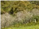 Lot 20 Main South Road, Delamere / Parawa, Delamere SA 5204