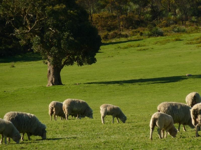 Lot 13 and 20 Range West Road, Delamere / Parawa, Delamere SA 5204