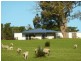 Lot 13 and 20 Range West Road, Delamere / Parawa, Delamere SA 5204