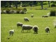 Lot 13 and 20 Range West Road, Delamere / Parawa, Delamere SA 5204