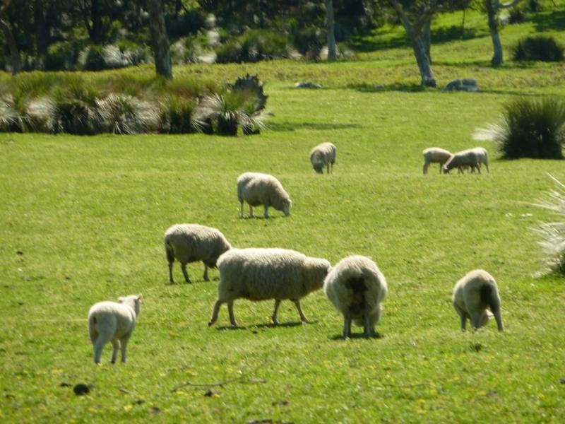 Lot 13 and 20 Range West Road, Delamere / Parawa, Delamere SA 5204