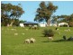 Lot 13 and 20 Range West Road, Delamere / Parawa, Delamere SA 5204