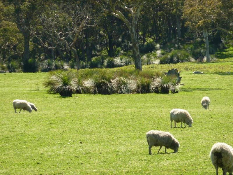 Lot 13 and 20 Range West Road, Delamere / Parawa, Delamere SA 5204