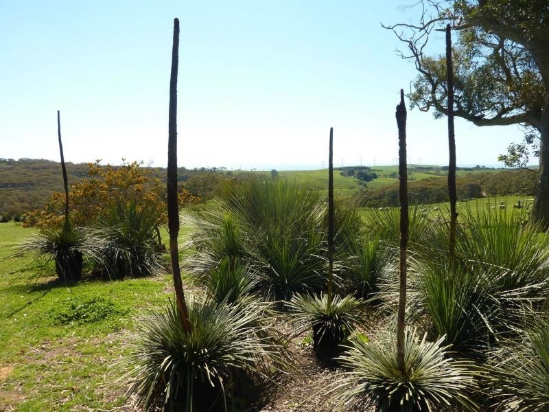Lot 13 and 20 Range West Road, Delamere / Parawa, Delamere SA 5204