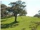 Lot 13 and 20 Range West Road, Delamere / Parawa, Delamere SA 5204