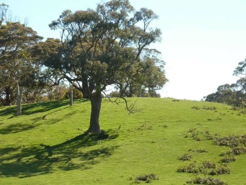 Lot 13 and 20 Range West Road, Delamere / Parawa, Delamere SA 5204