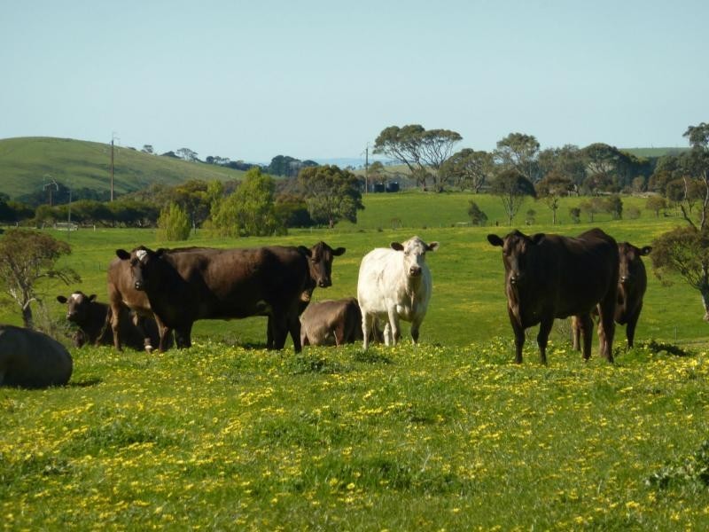 Lot 13 and 20 Range West Road, Delamere / Parawa, Delamere SA 5204