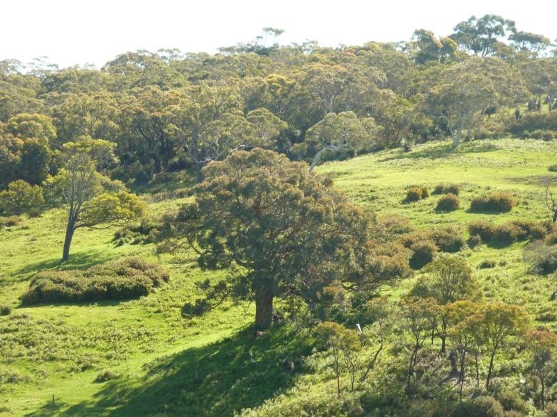 Lot 13 and 20 Range West Road, Delamere / Parawa, Delamere SA 5204