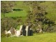 Lot 13 and 20 Range West Road, Delamere / Parawa, Delamere SA 5204