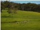 Lot 13 and 20 Range West Road, Delamere / Parawa, Delamere SA 5204