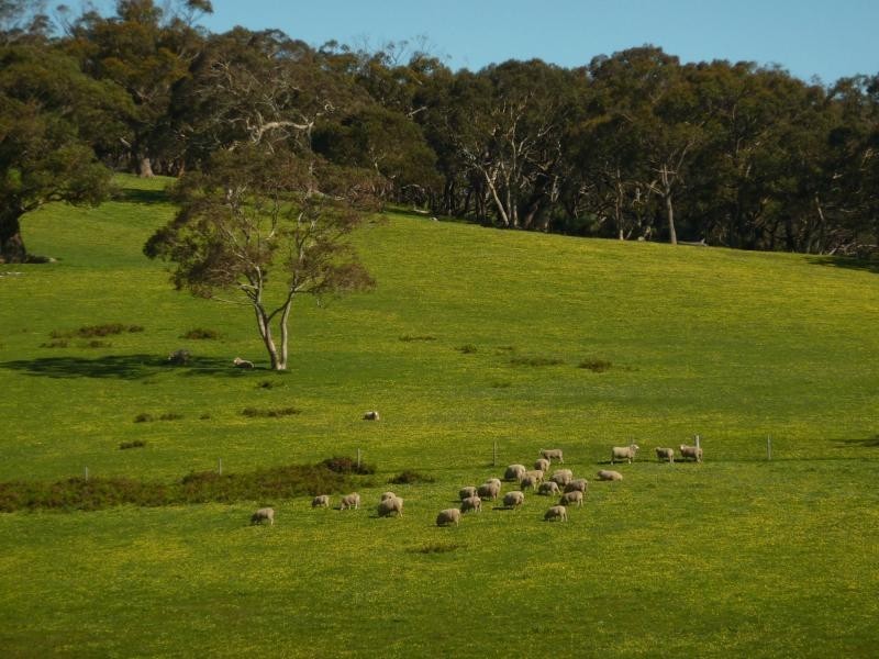 Lot 13 and 20 Range West Road, Delamere / Parawa, Delamere SA 5204