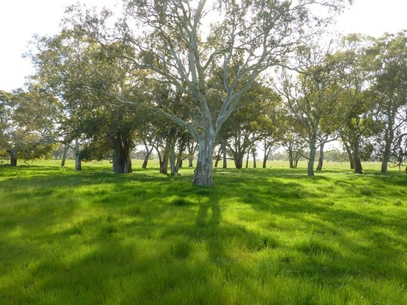 Lot 33 Hindmarsh Tiers Road, Hindmarsh Tiers, Myponga SA 5202