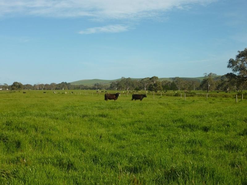 Lot 33 Hindmarsh Tiers Road, Hindmarsh Tiers, Myponga SA 5202