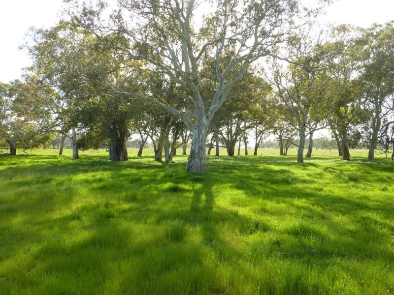 Lot 33 Hindmarsh Tiers Road, Hindmarsh Tiers, Myponga SA 5202