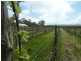 208 Rowley Road, Myponga SA 5202