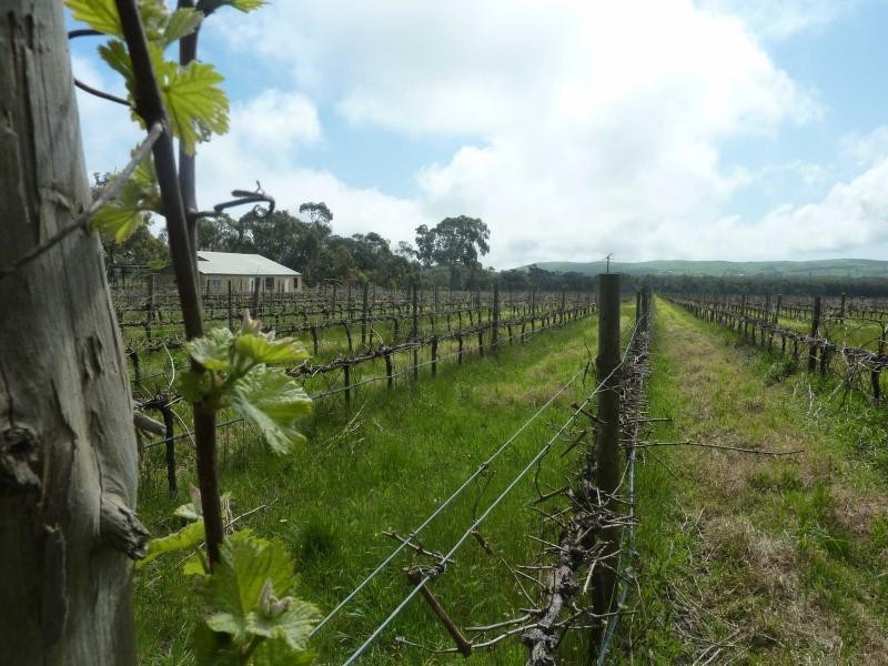 208 Rowley Road, Myponga SA 5202