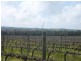 208 Rowley Road, Myponga SA 5202